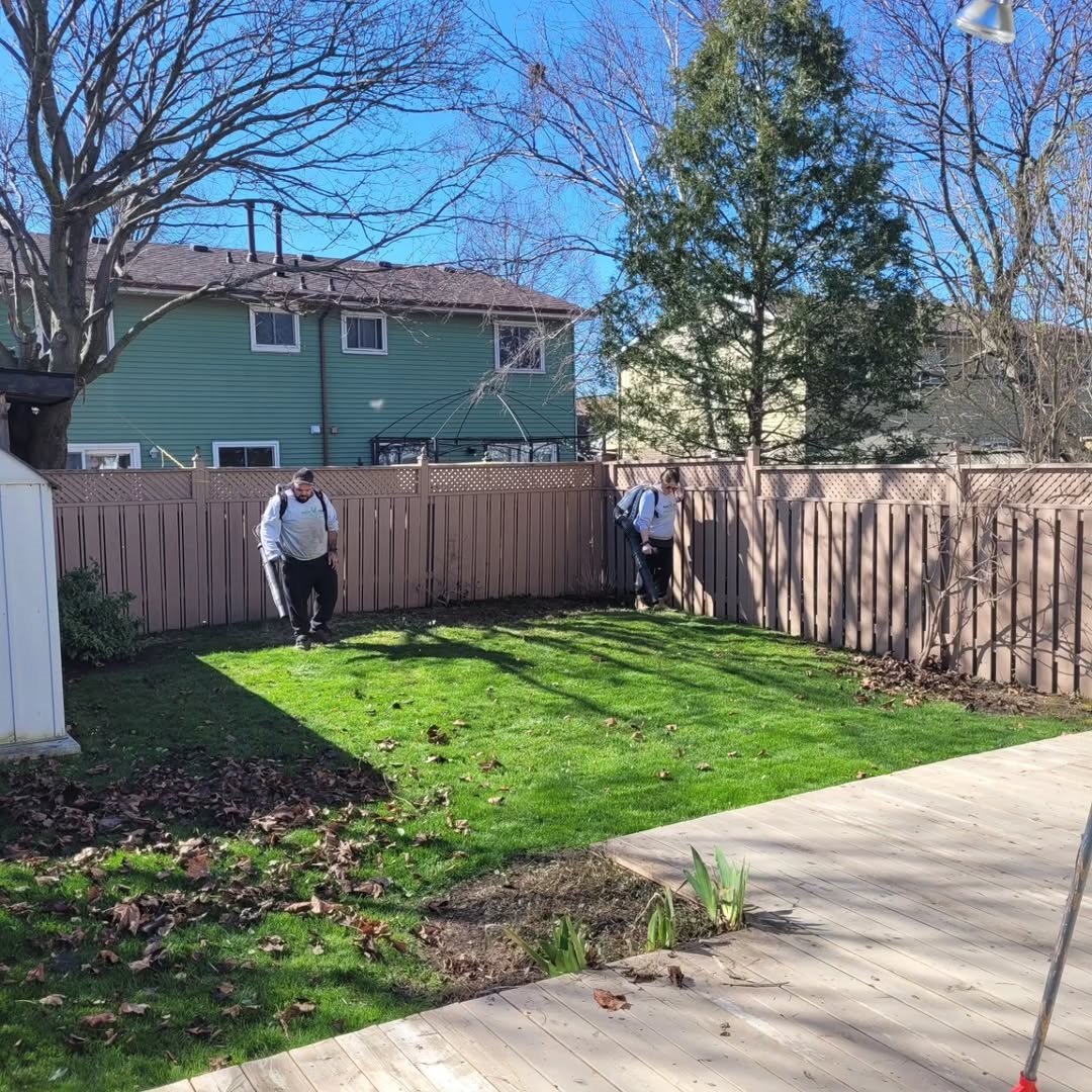 Spring and Fall Clean-up