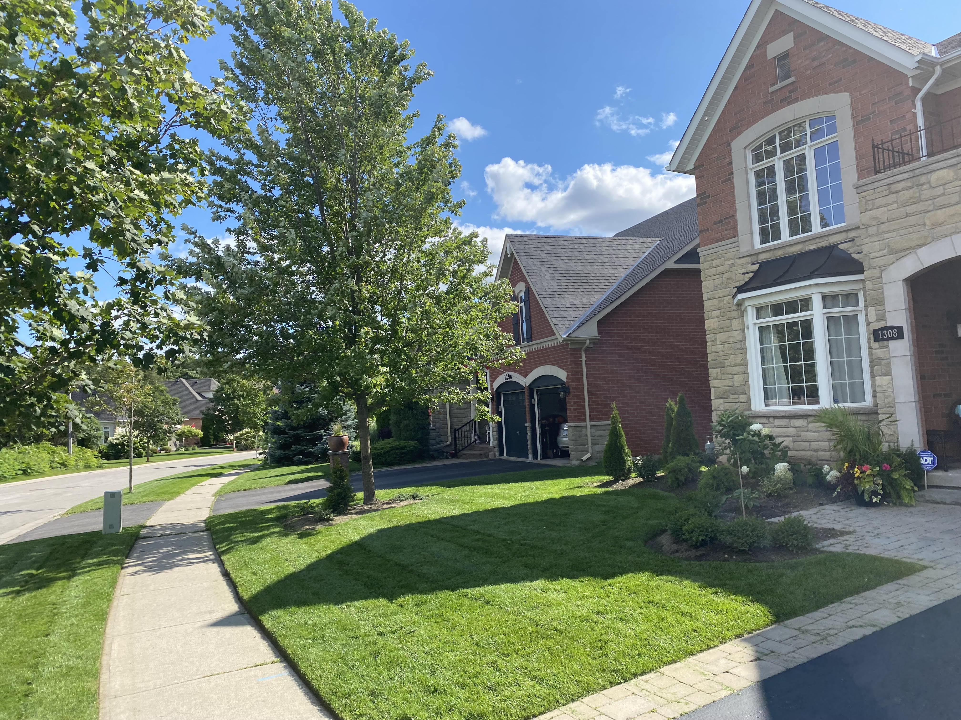 Beautiful Landscaping