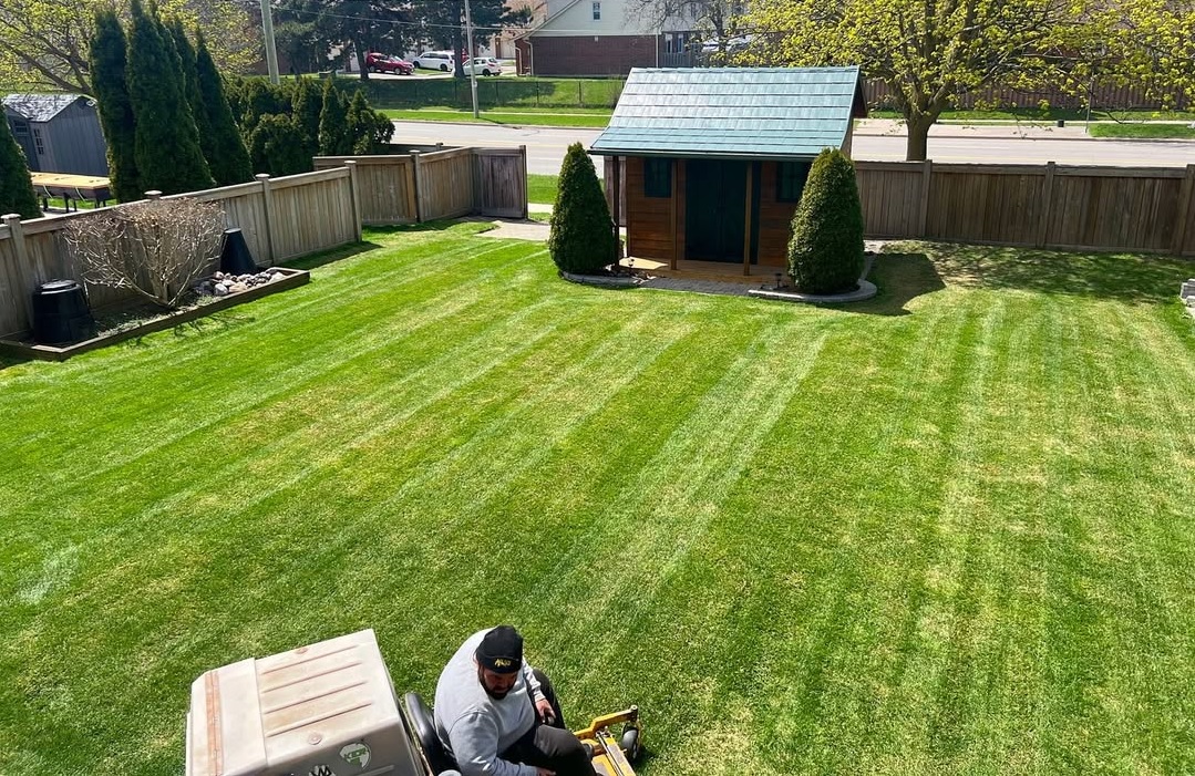 Lawn Cutting
