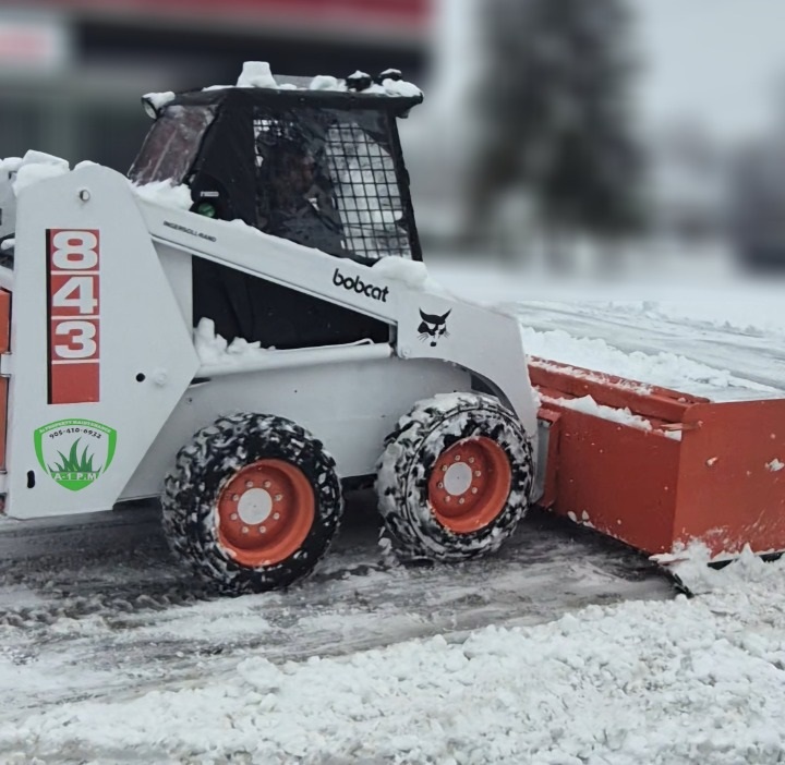 Snow Removal Service