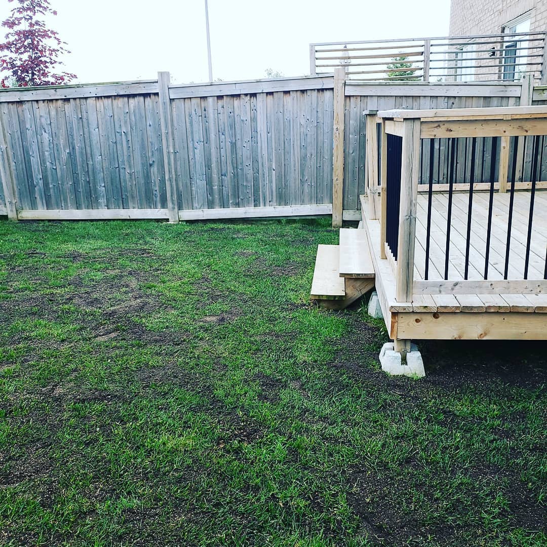 Top Dressing and Seeding